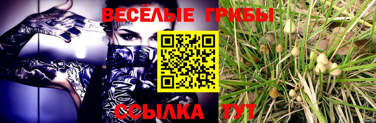 Галлюциногенные грибы Cubensis Знаменск