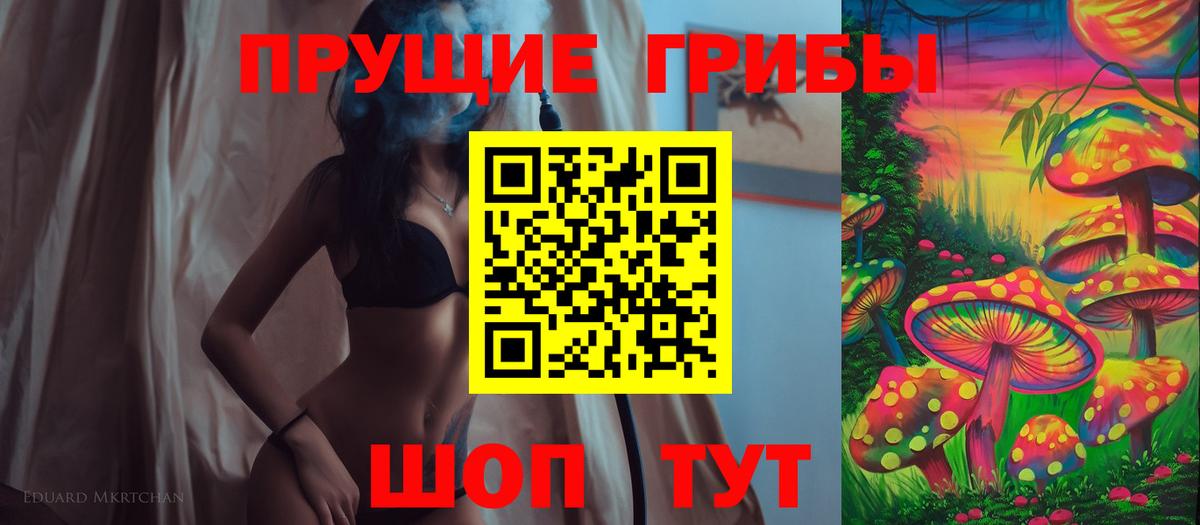 Знаменск  Псилоцибиновые грибы Psilocybine cubensis  Вход с VPN  Галлюциногенные грибы Psilocybe 